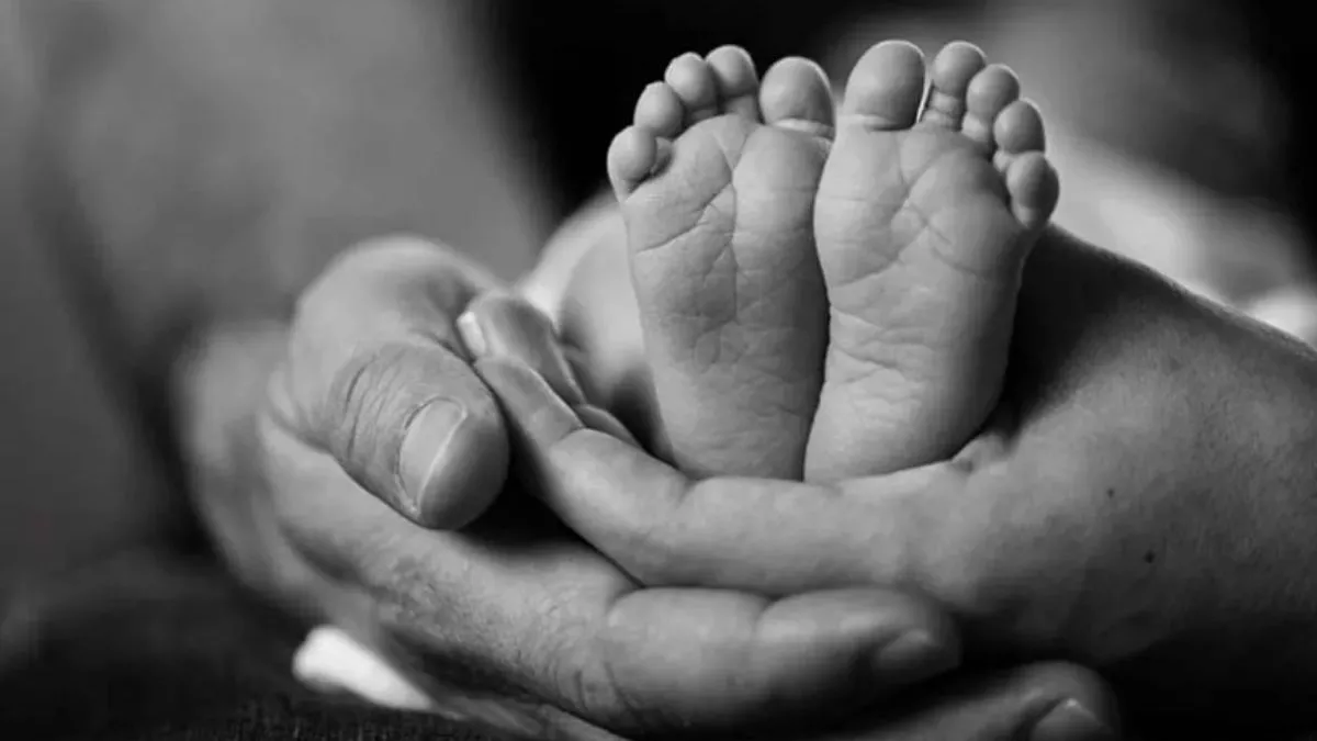 23_04_2025-newborn_3_23924178